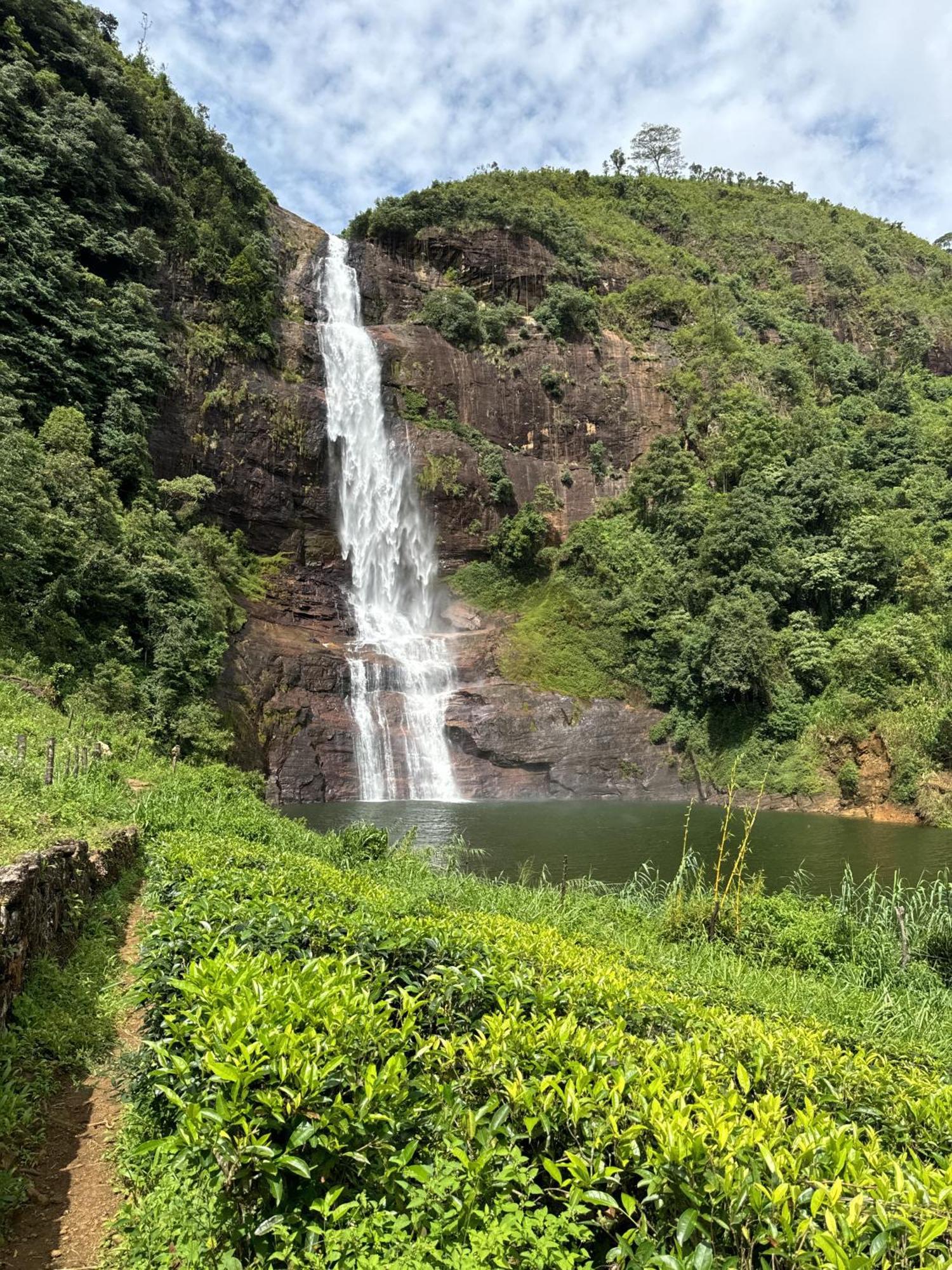 Pekoe Lodge Maskeliya Exteriér fotografie